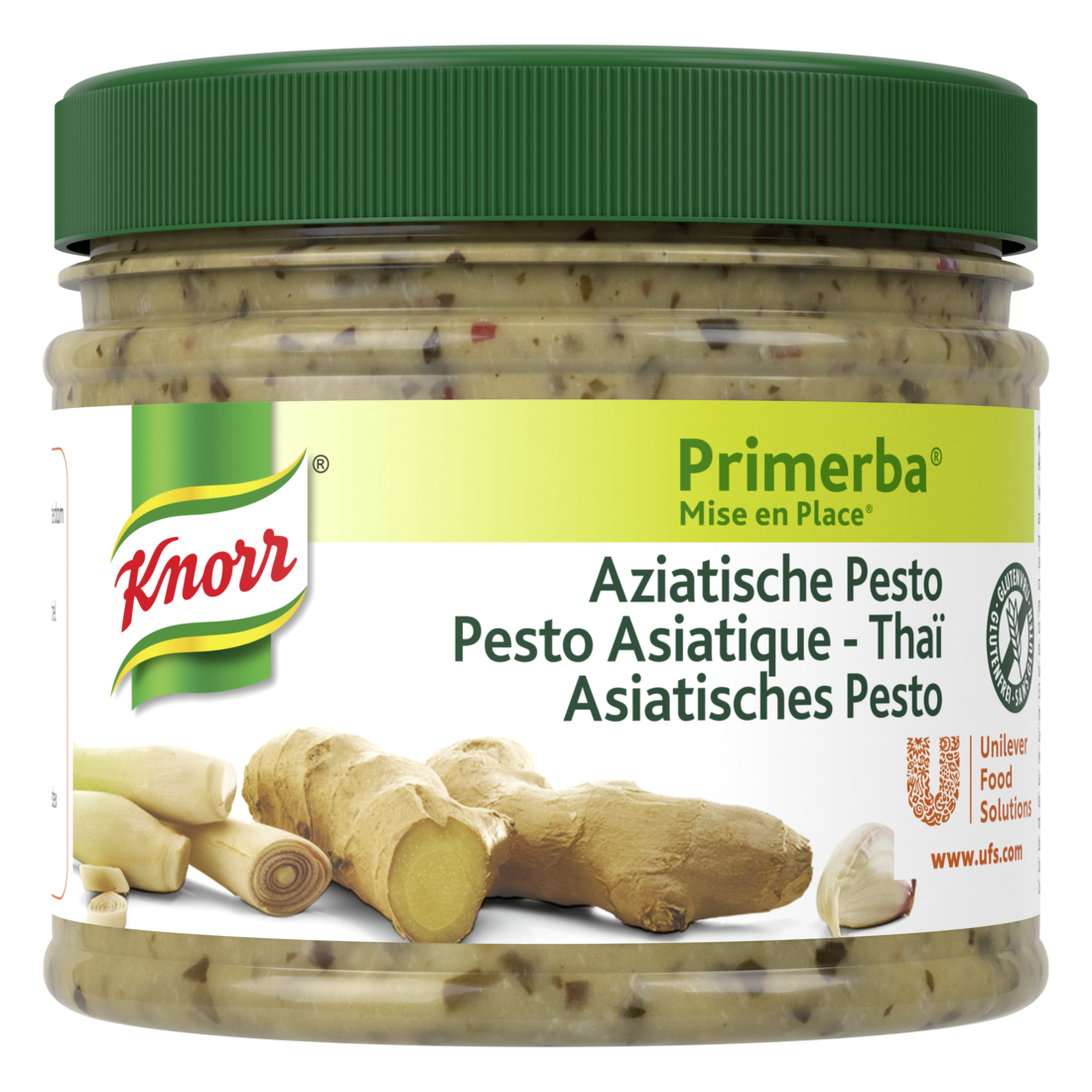 Knorr Primerba Asian Pesto - 